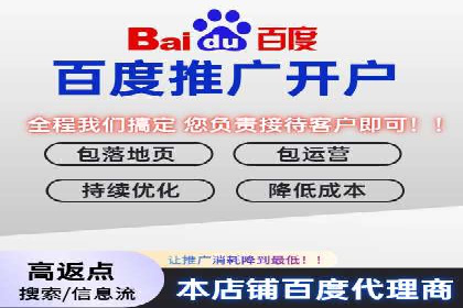 解析SEM推广代运营公司的成功案例及效果